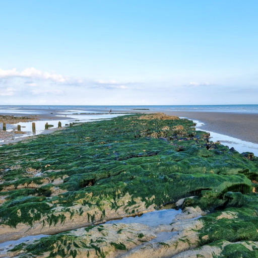 Hastings Seafront. Photo by @photografry
