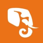 cropped-Elephant-Timber-Favicon